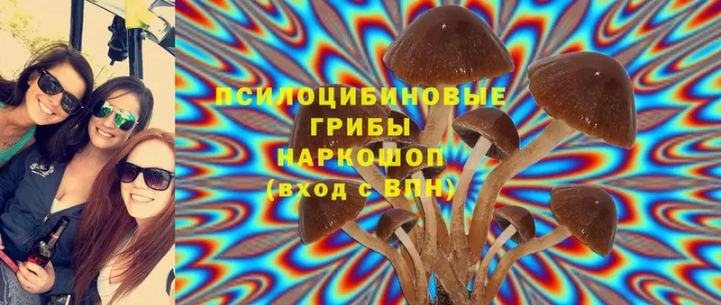 Галлюциногенные грибы Magic Shrooms  купить   Донецк 